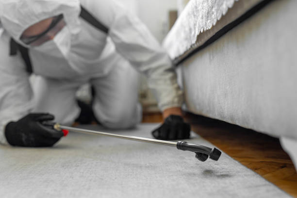 Professional Bed Bug Control technician working in Hot Springs, AR